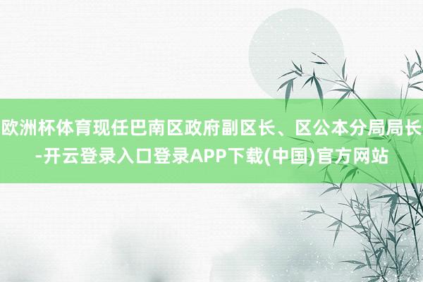 欧洲杯体育现任巴南区政府副区长、区公本分局局长-开云登录入口登录APP下载(中国)官方网站