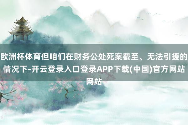 欧洲杯体育但咱们在财务公处死案截至、无法引援的情况下-开云登录入口登录APP下载(中国)官方网站