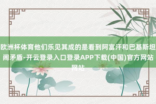 欧洲杯体育他们乐见其成的是看到阿富汗和巴基斯坦闹矛盾-开云登录入口登录APP下载(中国)官方网站